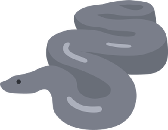 Обложка: Python-библиотеки, которые пригодятся каждому разработчику на Python