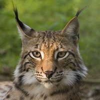 Аватар пользователя Максим Павлов